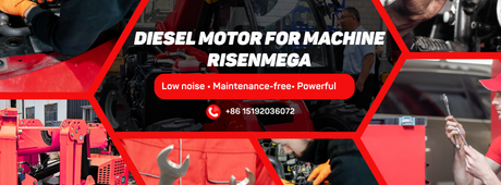 Risenmega Material Handling Machine Diesel Motor Details