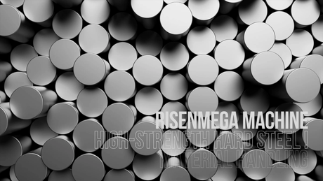 Why Risenmega Uses High-Strength Q345 & Q355D Steel